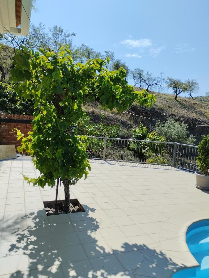 Villa Las Vinas Málaga Esterno foto