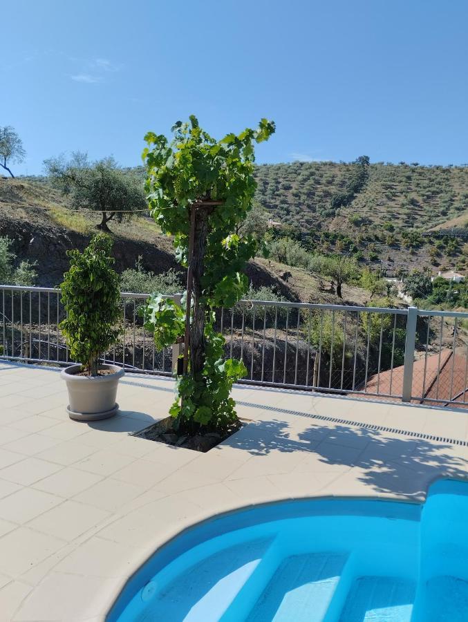 Villa Las Vinas Málaga Esterno foto